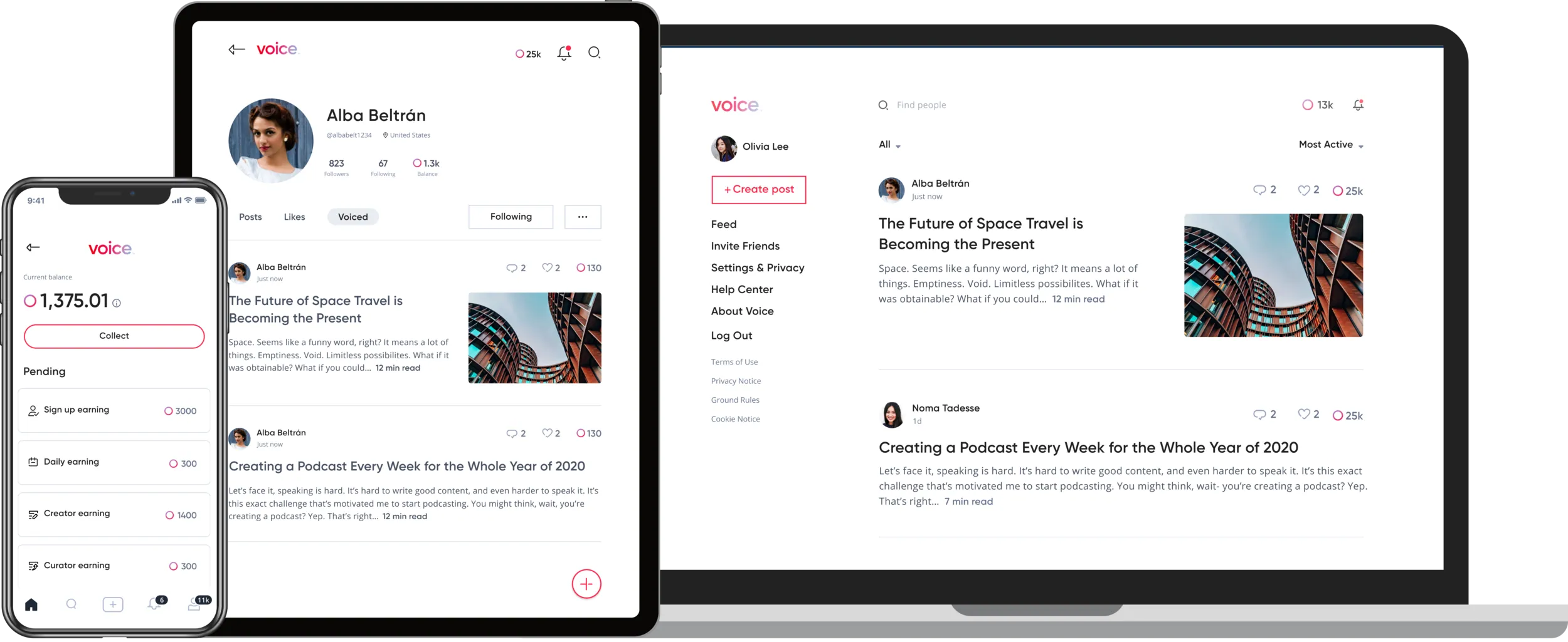 Voice product group
